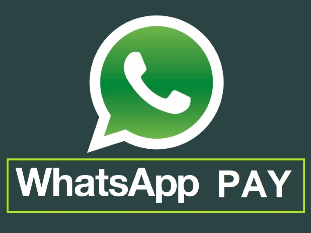 download payment whatsapp app