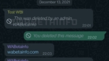 Cómo borrar un mensaje de WhatsApp 2 días después