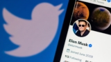 Así serán las nuevas cuentas verificadas de Twitter en la ‘era Elon Musk’