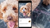 Cómo volver al buscador de imágenes de Google y desactivar Google Lens